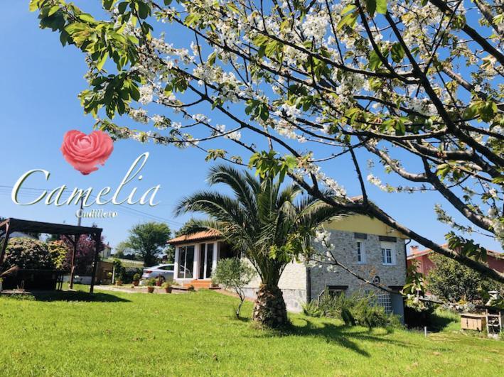 Villa Camelia Casina Rural Albuerne Exterior foto